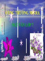 Bài giảng ngữ văn 7 bài 1 cổng trường mở ra 4 