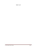 kế toán nguyên vật liệu tại CÔNG TY TNHH MỘT THÀNH VIÊN CƠ KHÍ ĐẠI TÂN