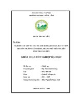 NGHIÊN cứu một số yếu tố ẢNH HƯỞNG đến GIÁ đất ở TRÊN địa bàn PHƯỜNG tân THỊNH , THÀNH PHỐ THÁI NGUYÊN TỈNH THÁI NGUYÊN