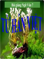 Bài giảng ngữ văn 7 bài 6 từ hán việt (tiếp theo) 5 