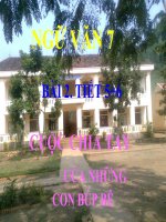 Bài giảng ngữ văn 7 bài 2 cuộc chia tay của những con búp bê 7 