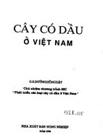 Cây cỏ dầu ở việt nam – phát triển các loại cây cỏ dầu ở việt nam