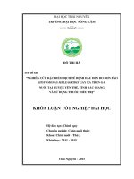 Nghiên cứu đặc điểm dịch tễ bệnh đầu đen do đơn bào Histomonas meleagridis gây ra trên gà nuôi tại huyện Yên Thế, tỉnh Bắc Giang và sử dụng thuốc điều trị