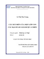 CÁC BẤT BIẾN CỦA MỘT LỚP CON CÁC ĐẠI SỐ LIE GIẢI ĐƯỢC 4 CHIỀU