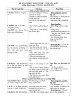 Giáo lớp lá tết mùa xuân