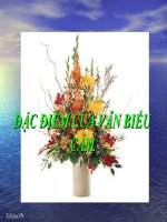 Bài giảng ngữ văn 7 bài 6 đặc điểm của văn bản biểu cảm 4 