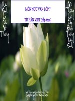 Bài giảng ngữ văn 7 bài 6 từ hán việt (tiếp theo) 3 