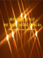 Bài giảng ngữ văn 7 bài 6 buổi chiều đứng ở phủ thiên đường trông ra (thiên trường vãn vọng) 5 