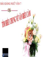 Bài giảng ngữ văn 7 bài 5 tìm hiểu chung về văn biểu cảm 