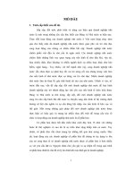 Xử lý các vẩn đề tài chỉnh trong quả trình xác định giá trị doanh nghiệp nhà nước đế cổ phần hóa  thực tế tại công ty dich vụ nông nghiêp từ liêm 