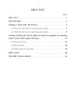 Đánh giá tính ổn định và chỉnh hóa nghiệm của phương trình truyền nhiệt ngược thời gian