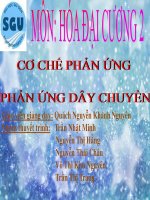 Bài thuyết trình cơ chế phản ứng, phản ứng dây chuyền