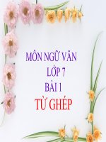 Bài giảng ngữ văn 7 bài 1 từ ghép 2 