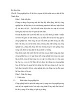 Công nghiệp hóa, đô thị hóa và quan hệ hôn nhân của cư dân đô thị