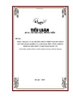 THỰC TRẠNG VÀ XU HƯỚNG PHÁT TRIỂN NGUỒN NHÂNLỰC ĐỂ GIẢM NGHÈO VÀ LÀM GIÀU BỀN VỮNG TRONGTHỜI KỲ ĐỔI MỚI VÀ HỘI NHẬP QUỐC TẾ