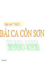 Bài giảng ngữ văn 7 bài 6 bài ca côn sơn 4 