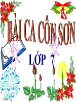 Bài giảng ngữ văn 7 bài 6 bài ca côn sơn 10 