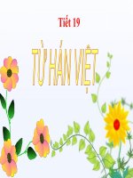 Bài giảng ngữ văn 7 bài 5 từ hán việt 7 