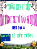 Bài giảng sinh học 8 tiêu chuẩn ăn uống và nguyên tắc lập khẩu phần (8) 