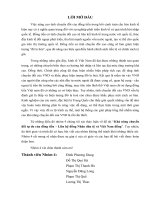Khả năng chuyển đổi tự do của đồng tiền – liên hệ đồng nhân dân tệ và việt nam đồng 