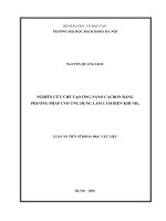 Nghiên cứu chế tạo ống nano cacbon bằng phương pháp CVD ứng dụng làm cảm biến khí NH3