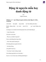 Động từ nguyên mẫu hay danh động từ 