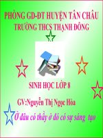 Bài giảng sinh học 8 tiêu chuẩn ăn uống và nguyên tắc lập khẩu phần (4) 