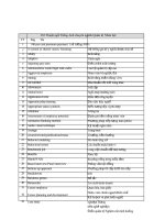 381 thuật ngữ tiếng anh chuyên ngành quản trị nhân lực