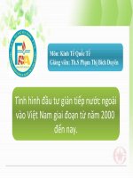 Tình hình đầu tư gián tiếp nước ngoài vào Việt Nam giai đoạn từ năm 2000 đến nay