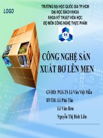Báo cáo tiểu luận cao học qui trình công nghệ sản xuất bơ lên men từ sữa