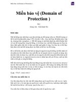 Miền bảo vệ (domain of protection ) 