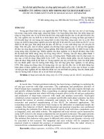 NGHIÊN cứu DÒNG CHẢY rối TRONG bộ TÁCH dầu KHÍ GLCC 