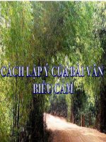 Bài giảng ngữ văn 7 bài 9 cách lập ý của bài văn biểu cảm 5 