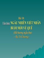 Bài giảng ngữ văn 7 bài 10 ngẫu nhiên viết nhân buổi mới về quê (hồi hương ngẫu hứng) 13 