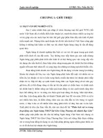 Phân tích rủi ro trong hoạt động của Ngân hàng TMCP Sài Gòn Công Thương chi nhánh Bạc Liêu