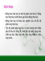 HÓA LÝ 2 ( ĐỘNG HỌC PHẢN ỨNG )