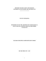 DETERMINANTS OF THE ADOPTION OF TECHNOLOGICAL INNOVATION BY LOGISTICS SERVICES PROVIDERS IN VIETNAM