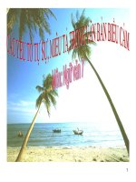 Bài giảng ngữ văn 7 bài 11 các yếu tố tự sự, miêu tả trong văn bản biểu cảm 5 