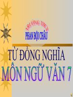 Bài giảng ngữ văn 7 bài 9 từ đồng nghĩa 9 