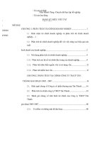 Phân tích tài chính công ty cổ phần thương mại tân thành 