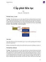 Cấp phát liên tục 