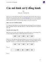 Các mô hình xử lý đồng hành 