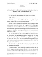 cơ sở lý luận về rủi ro tín dụng trong hoạt động kinh doanh của ngân hàng thương mại