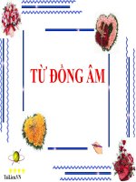 Bài giảng ngữ văn 7 bài 11 từ đồng âm 8 