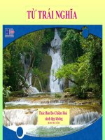 Bài giảng ngữ văn 7 bài 10 từ trái nghĩa 9 