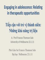 Engaging in adolescence 23 1 11 VN update 2 