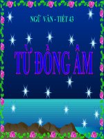 Bài giảng ngữ văn 7 bài 11 từ đồng âm 14 