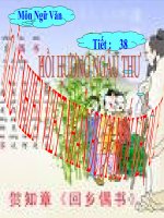 Bài giảng ngữ văn 7 bài 10 ngẫu nhiên viết nhân buổi mới về quê (hồi hương ngẫu hứng) 14 