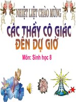 Bài giảng sinh học 8 tiêu chuẩn ăn uống và nguyên tắc lập khẩu phần (10) 