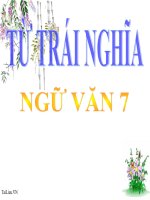 Bài giảng ngữ văn 7 bài 10 từ trái nghĩa 4 